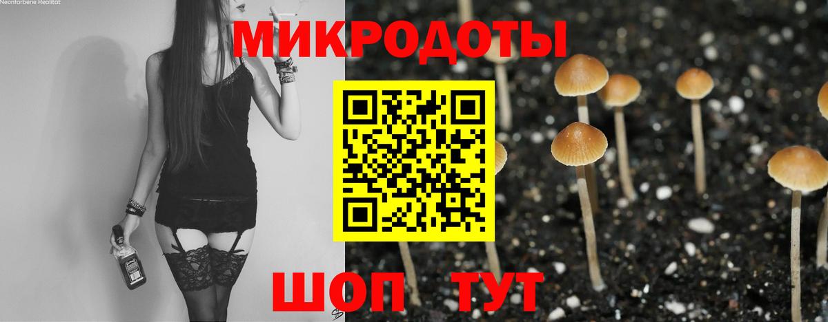 Галлюциногенные грибы Psilocybine cubensis Кыштым